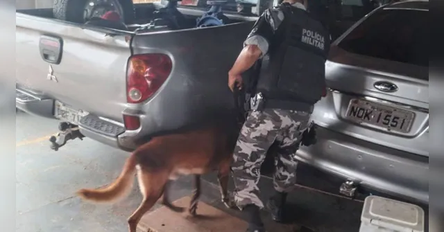 Imagem ilustrativa da notícia Cão da PM localiza 15 quilos de entorpecentes em embarcação