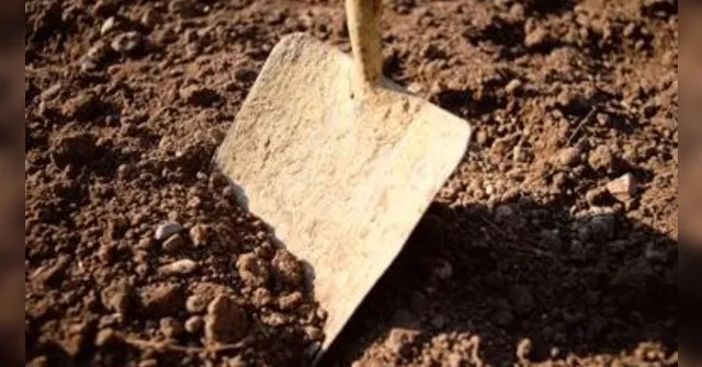 Imagem ilustrativa da notícia PA: Investigador que obrigou preso a cavar cova é denunciado