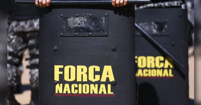 Imagem ilustrativa da notícia Força Nacional atuará em terra indígena no Pará