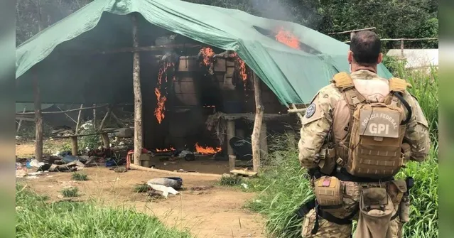 Imagem ilustrativa da notícia PF divulga resultados de operações em
terra Yanomami