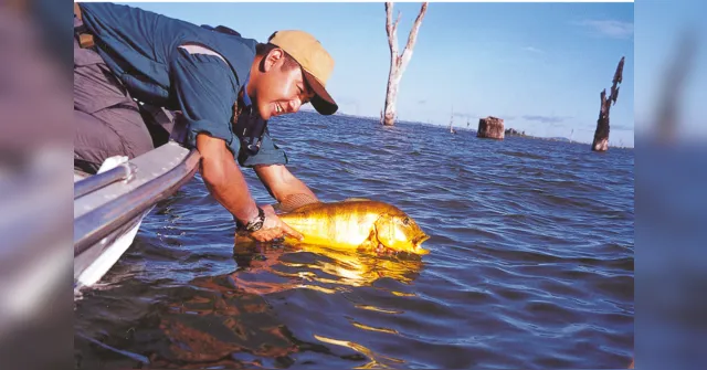 Imagem ilustrativa da notícia Torneio de Pesca Esportiva da Amazônia abre inscrições