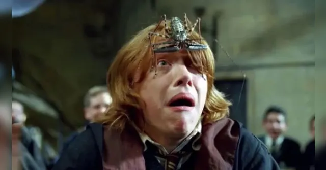 Imagem ilustrativa da notícia Não é aranha! Bicho exibido em Harry Potter existe no Brasil
