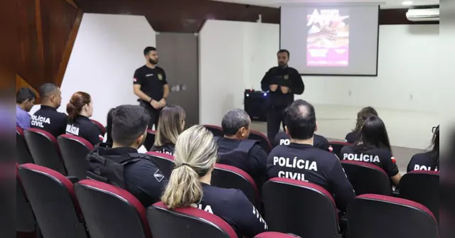 Imagem ilustrativa da notícia Polícia fortalece medidas ao combate à violência doméstica