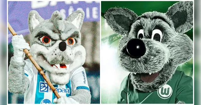 Imagem ilustrativa da notícia Clube alemão parabeniza Paysandu após classificação