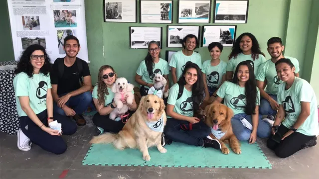 Imagem ilustrativa da notícia Ufra seleciona cães e tutores para participarem do projeto