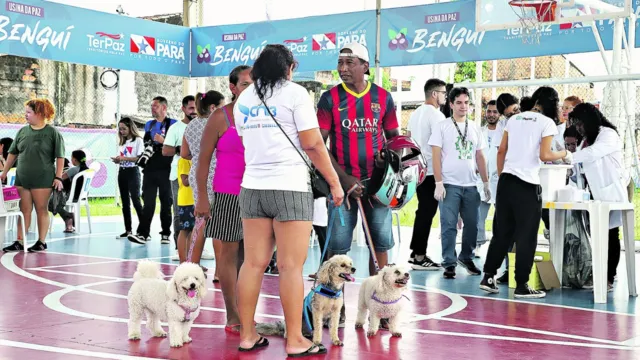 Imagem ilustrativa da notícia Castração gratuita de pets começa nesta quarta (15) em Belém