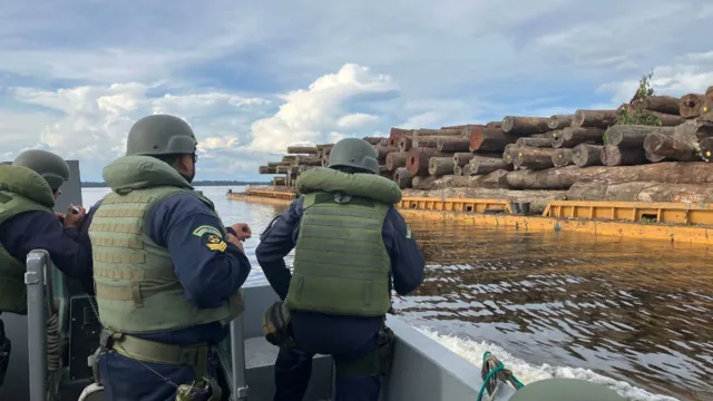 Imagem ilustrativa da notícia Operação apreende 10 embarcações com madeira ilegal no Pará