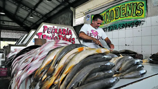 Imagem ilustrativa da notícia Saiba como comprar e armazenar o peixe para a Semana Santa