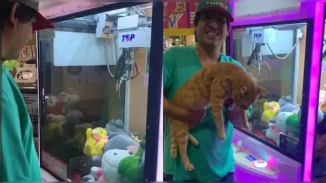 Imagem ilustrativa da notícia Vídeo: homem 'fisga' gato de verdade em máquina 