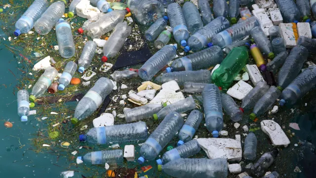 Imagem ilustrativa da notícia Rico ecossistema é achado em meio ao lixo no oceano