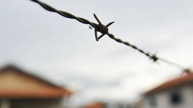 Imagem ilustrativa da notícia Pará: Comissão Arns debateu casos de violência no campo