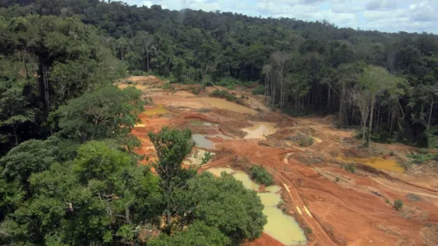 Imagem ilustrativa da notícia Amazônia: leis frágeis favorecem expansão de garimpo ilegal