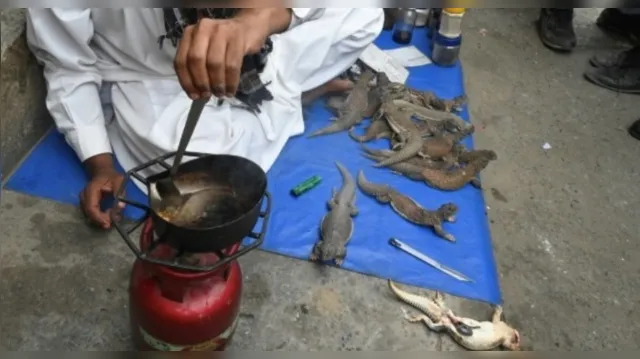 Imagem ilustrativa da notícia 'Viagra' de lagarto e escorpião é vendido no Paquistão
