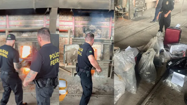 Imagem ilustrativa da notícia Vídeo: PF incinera mais de 91 kg de drogas no Pará