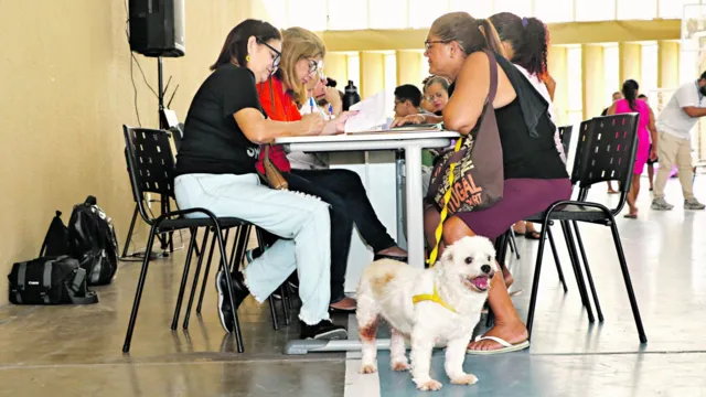 Imagem ilustrativa da notícia Pará Pet oferta exames e castração gratuita