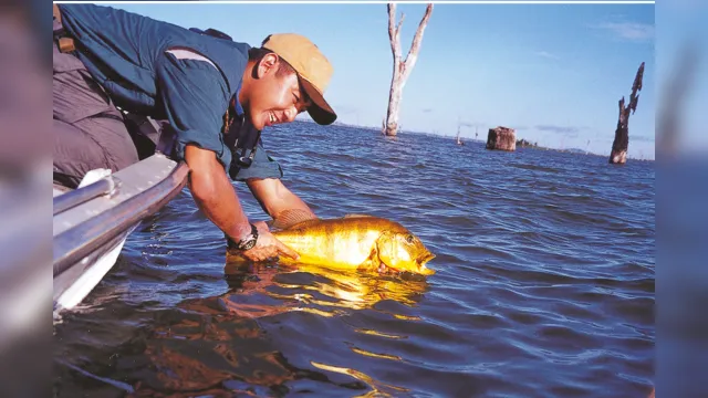 Imagem ilustrativa da notícia Torneio de Pesca Esportiva da Amazônia abre inscrições