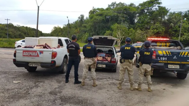 Imagem ilustrativa da notícia Mais de uma tonelada de Picanha  ilegal é apreendida no Pará