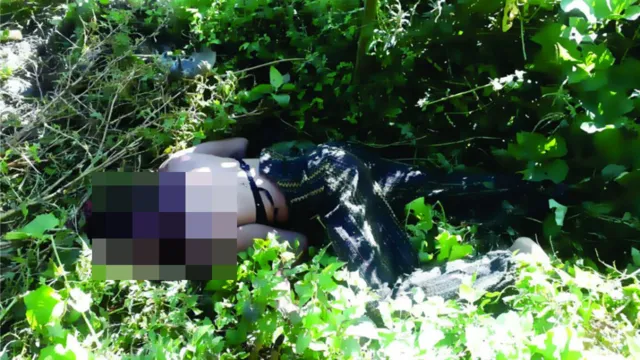 Imagem ilustrativa da notícia Corpo de travesti é achado em área de mata de Parauapebas