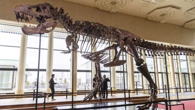 Imagem ilustrativa da notícia Esqueleto de Tiranossauro Rex é vendido por R$ 30 milhões 