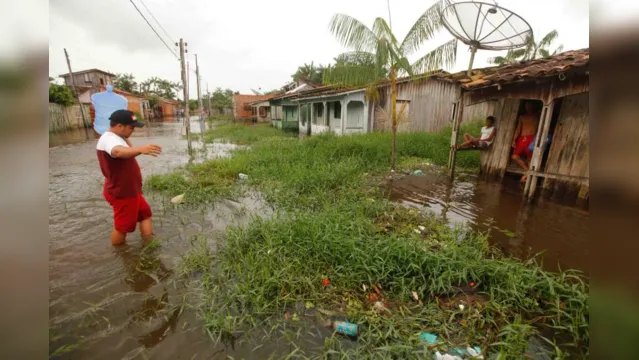 Imagem ilustrativa da notícia SESPA alerta sobre casos de leptospirose no Pará