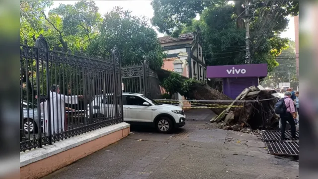 Imagem ilustrativa da notícia Árvore cai em frente ao Colégio Gentil, em Belém