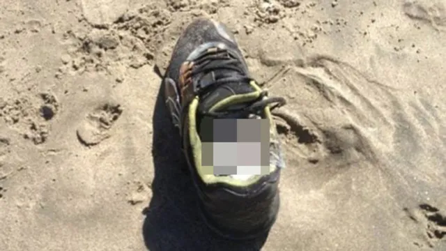 Imagem ilustrativa da notícia Tênis com pé decepado é achado em praia de Nova Zelândia