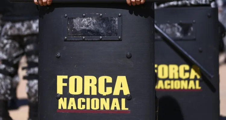 Imagem ilustrativa da notícia Força Nacional atuará em terra indígena no Pará