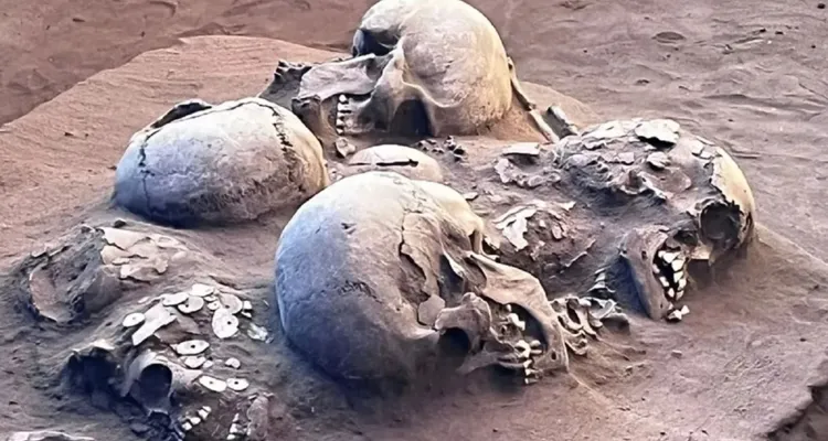 Imagem ilustrativa da notícia Fósseis humanos de 12 mil anos são achados em Goiás