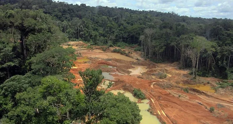 Imagem ilustrativa da notícia Bolsonaro armou “bomba climática e anti-indígena”; entenda!