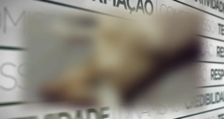 Imagem ilustrativa da notícia Policial Militar atira e mata cachorro na Condor, em Belém