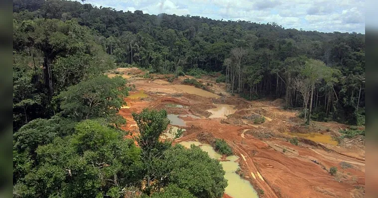 Imagem ilustrativa da notícia Bolsonaro armou “bomba climática e anti-indígena”; entenda!