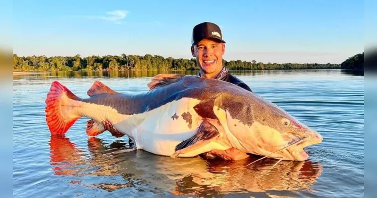 Imagem ilustrativa da notícia Brasileiro pesca peixe de 70kg no Xingu e bate recorde