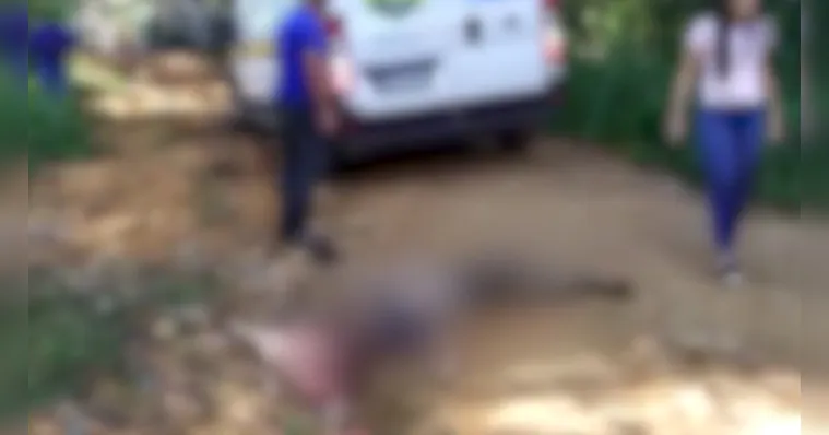 Imagem ilustrativa da notícia Homem é morto a pedradas em Parauapebas. Veja o vídeo