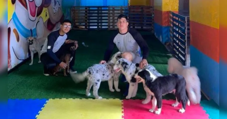 Imagem ilustrativa da notícia "Creche para pets" cresce em Belém do Pará