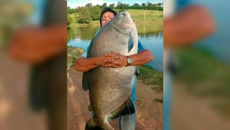 Imagem ilustrativa da notícia Homem captura tambaqui de 55 quilos em Santarém