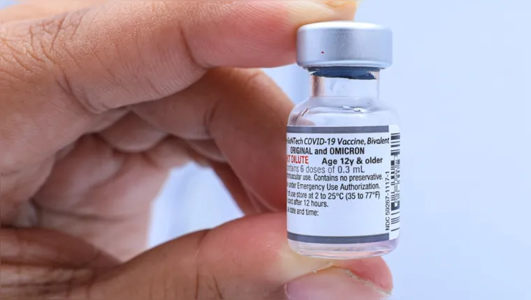 Imagem ilustrativa da notícia Veja onde tomar a vacina bivalente em Belém esta semana