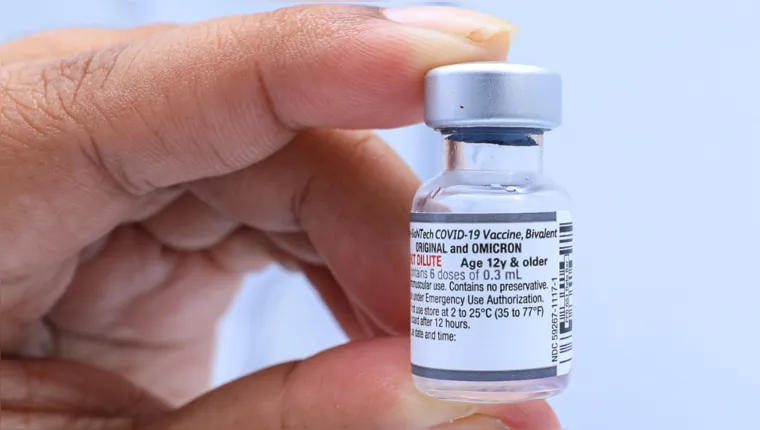 Imagem ilustrativa da notícia Vacina bivalente é liberada a todos os grupos prioritários