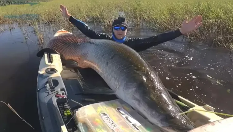 Imagem ilustrativa da notícia Vídeo: Pescador fisga 'monstro' de 2,5 m na Amazônia