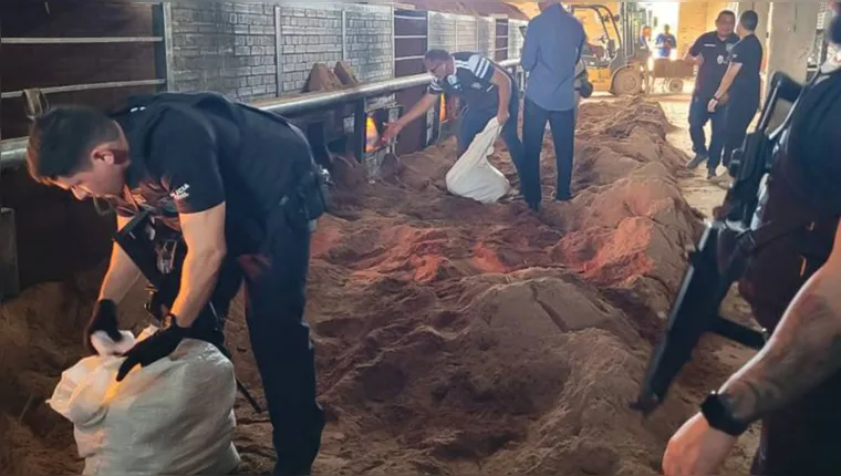 Imagem ilustrativa da notícia Polícia Civil incinera 150kg de drogas apreendidas no Pará
