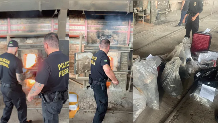 Imagem ilustrativa da notícia Vídeo: PF incinera mais de 91 kg de drogas no Pará