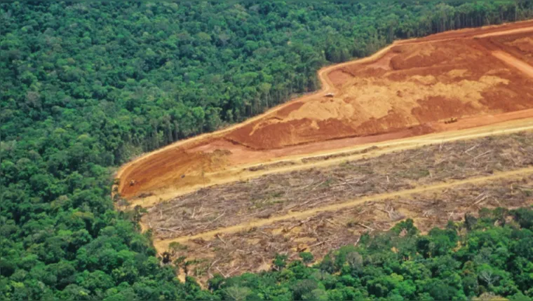 Imagem ilustrativa da notícia Banco Mundial alerta para dano permanente na Amazônia