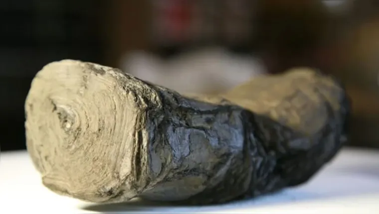 Imagem ilustrativa da notícia Itália vai pagar milhões a quem decifrar papiro do Vesúvio