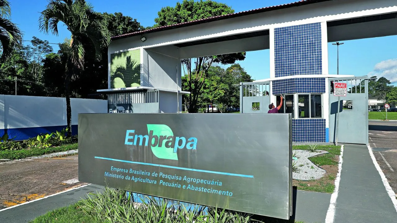 A Embrapa desenvolve pesquisas para melhorar produção e também novas tecnologias