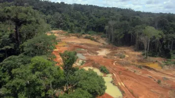 Foram aplicadas R$ 4,5 milhões em multas
