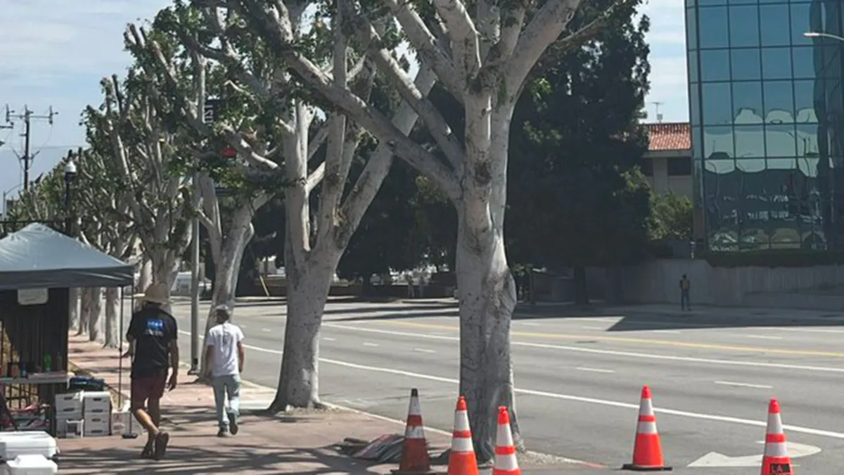 Imagem ilustrativa da notícia Hollywood poda árvores que protegia do sol atores grevistas