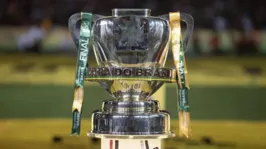 Quem ficar com a taça de campeão da Copa do Brasil 2023 terá direito a uma premiação de aproximadamente R$ 90 milhões.