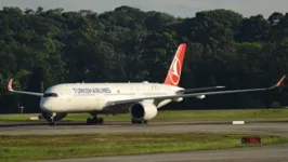 A Turkish Airlines operava o voo no momento do incidente