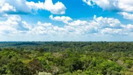 Imagem ilustrativa da notícia Raio x da Amazônia: Uma visão do maior bioma do mundo