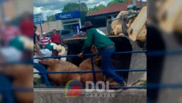Um cavalo morreu durante a cavalgada desse último domingo (4), durante as festividades da 26ª Expo Polo Carajás