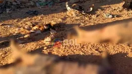 Corpos foram encontrados em um lixão de Tucumã no sul do Pará